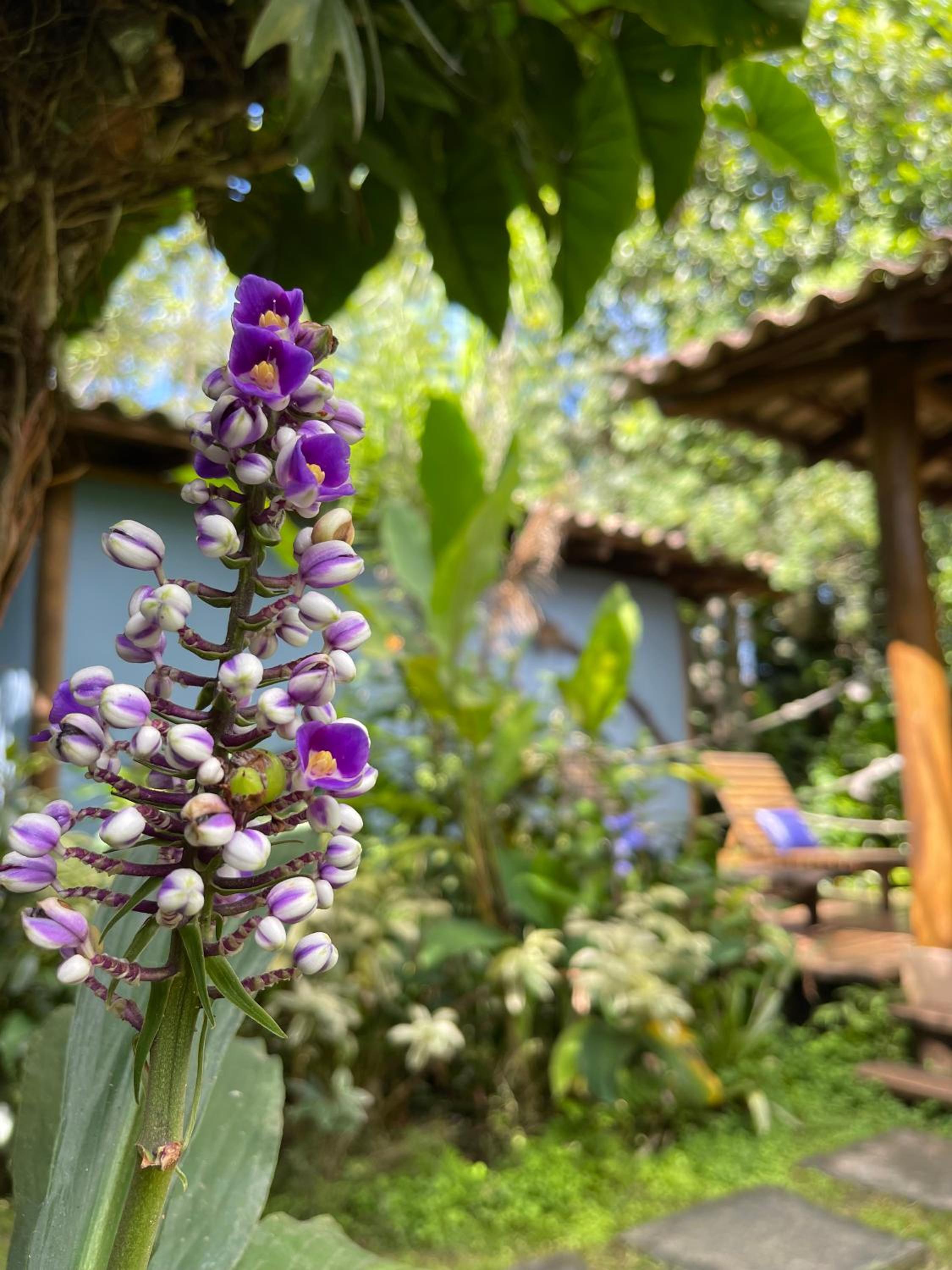 Casa Jardim Bangalos