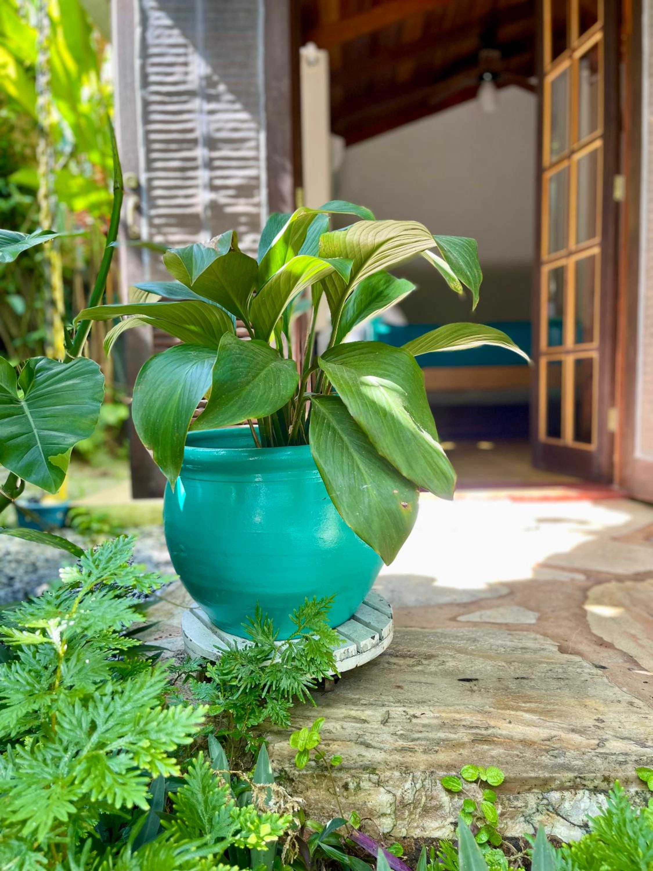 Casa Jardim Bangalos