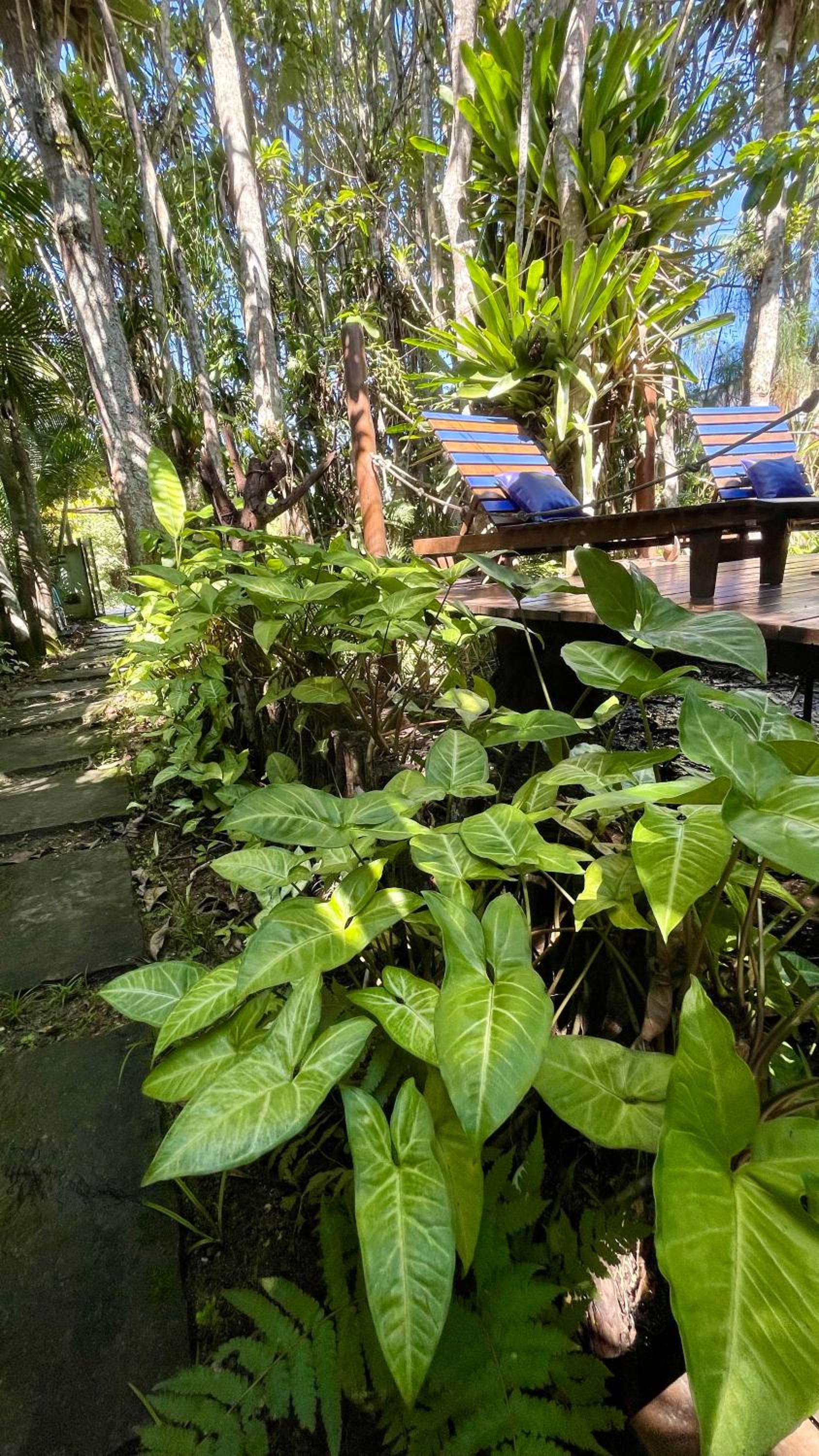 Casa Jardim Bangalos