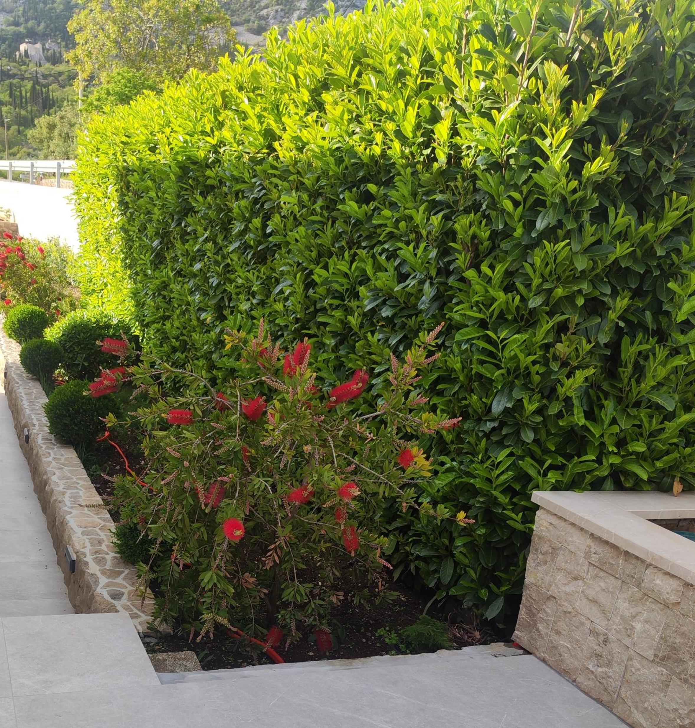 Photo 29