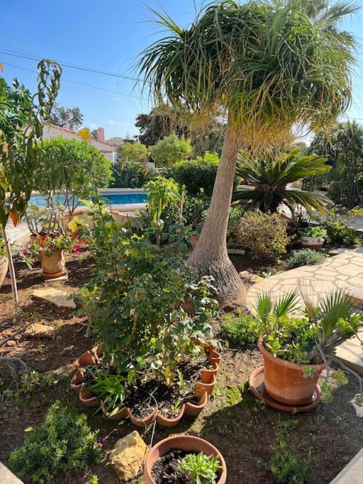 El Oasis Calpe