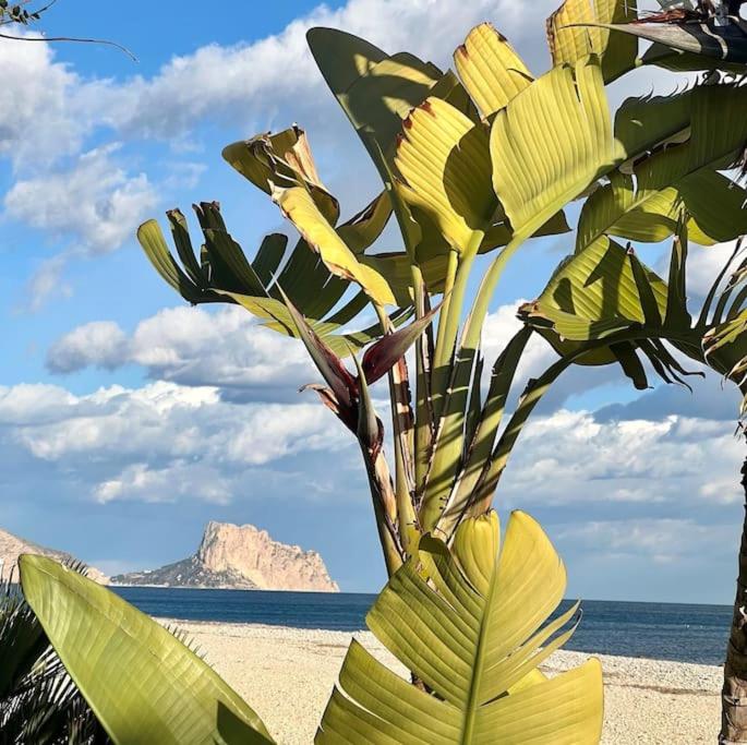 El Oasis Calpe