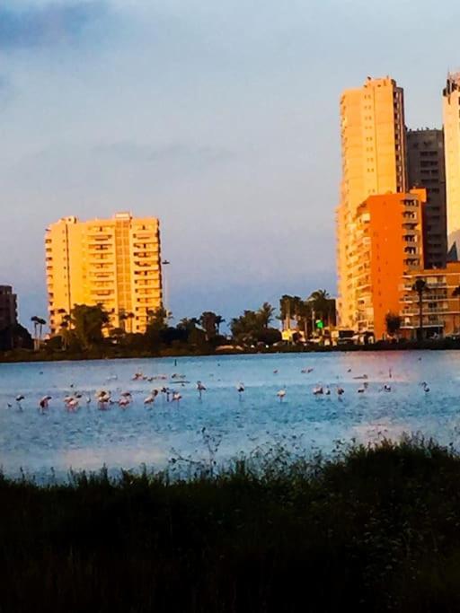 El Oasis Calpe