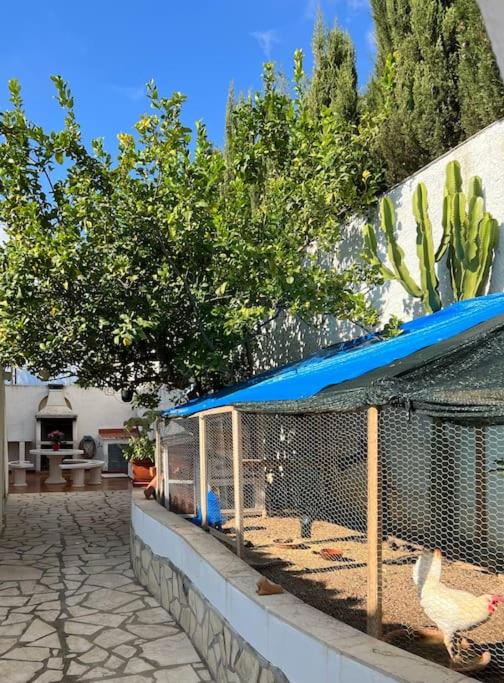 El Oasis Calpe