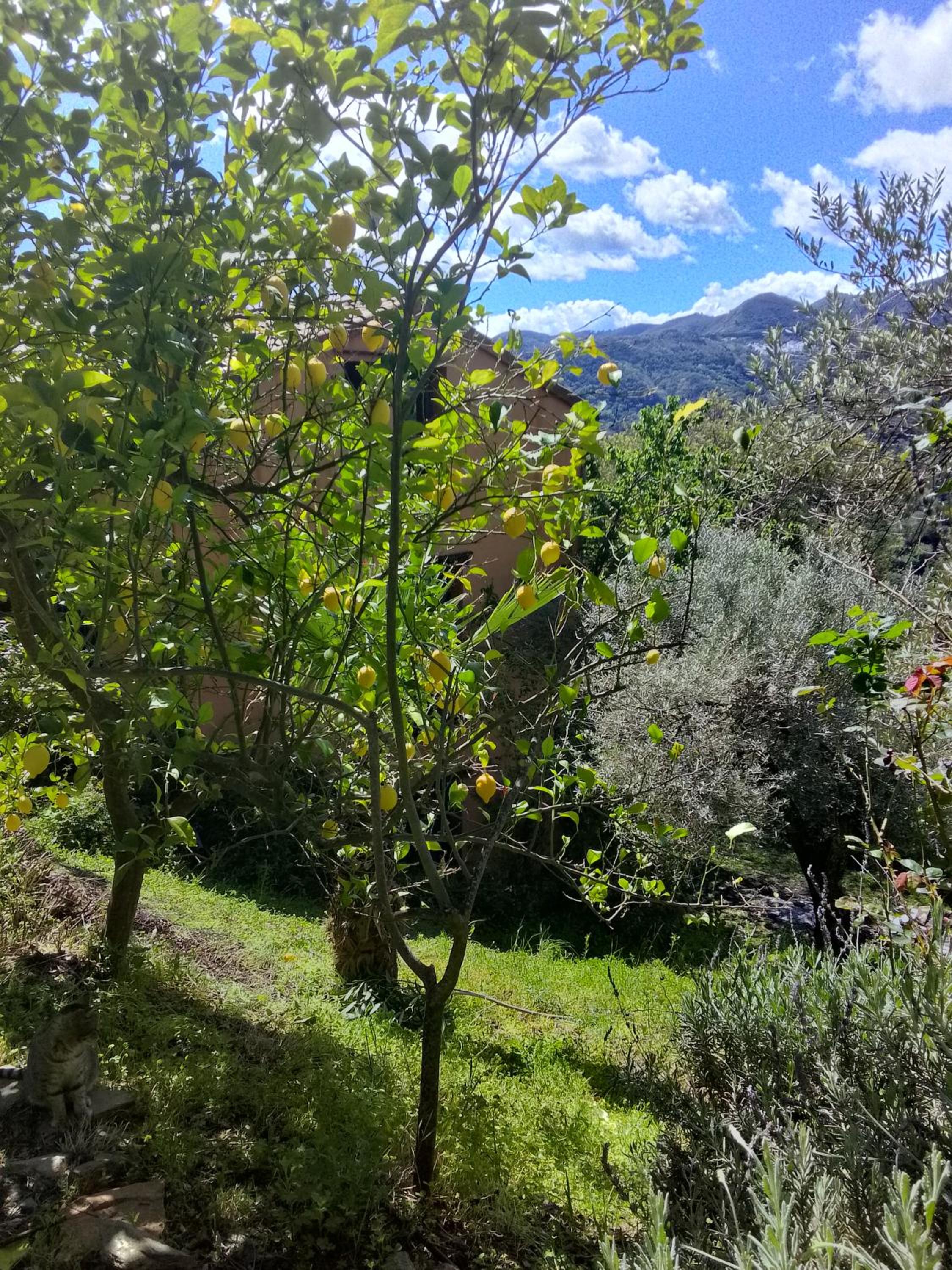 Casa Arroyo Hondo