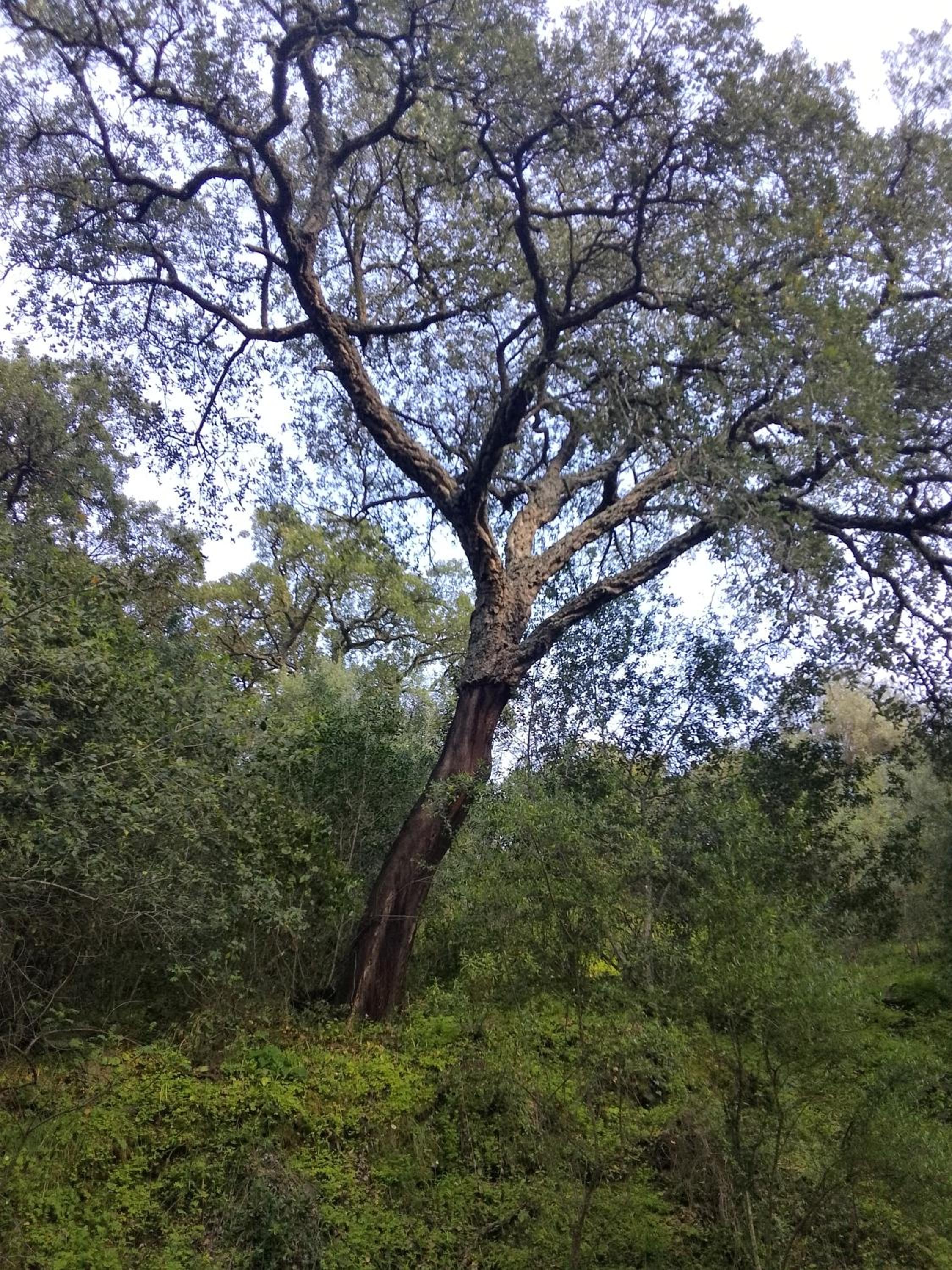 Casa Arroyo Hondo