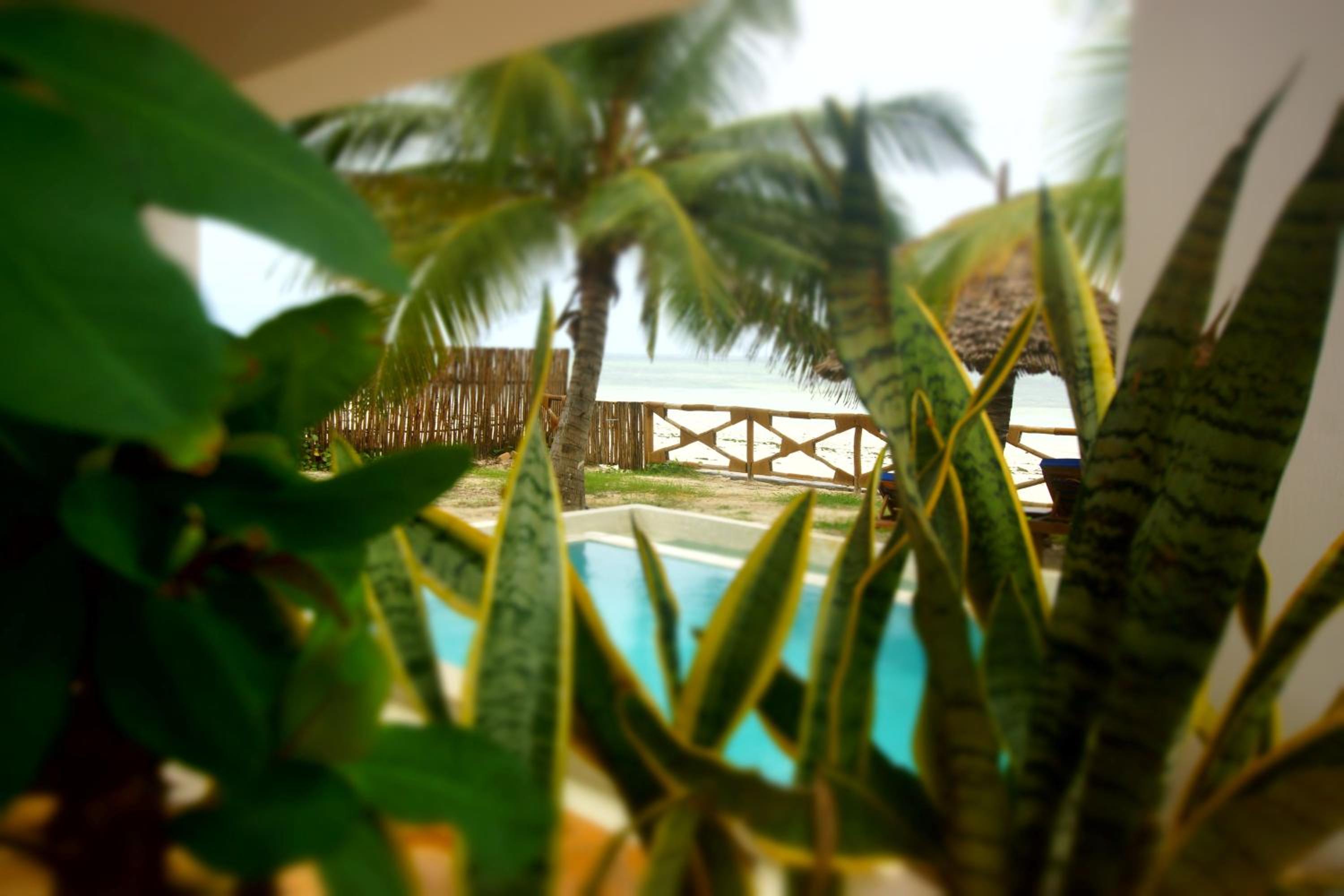 Amani Beach Villa- Bwejuu