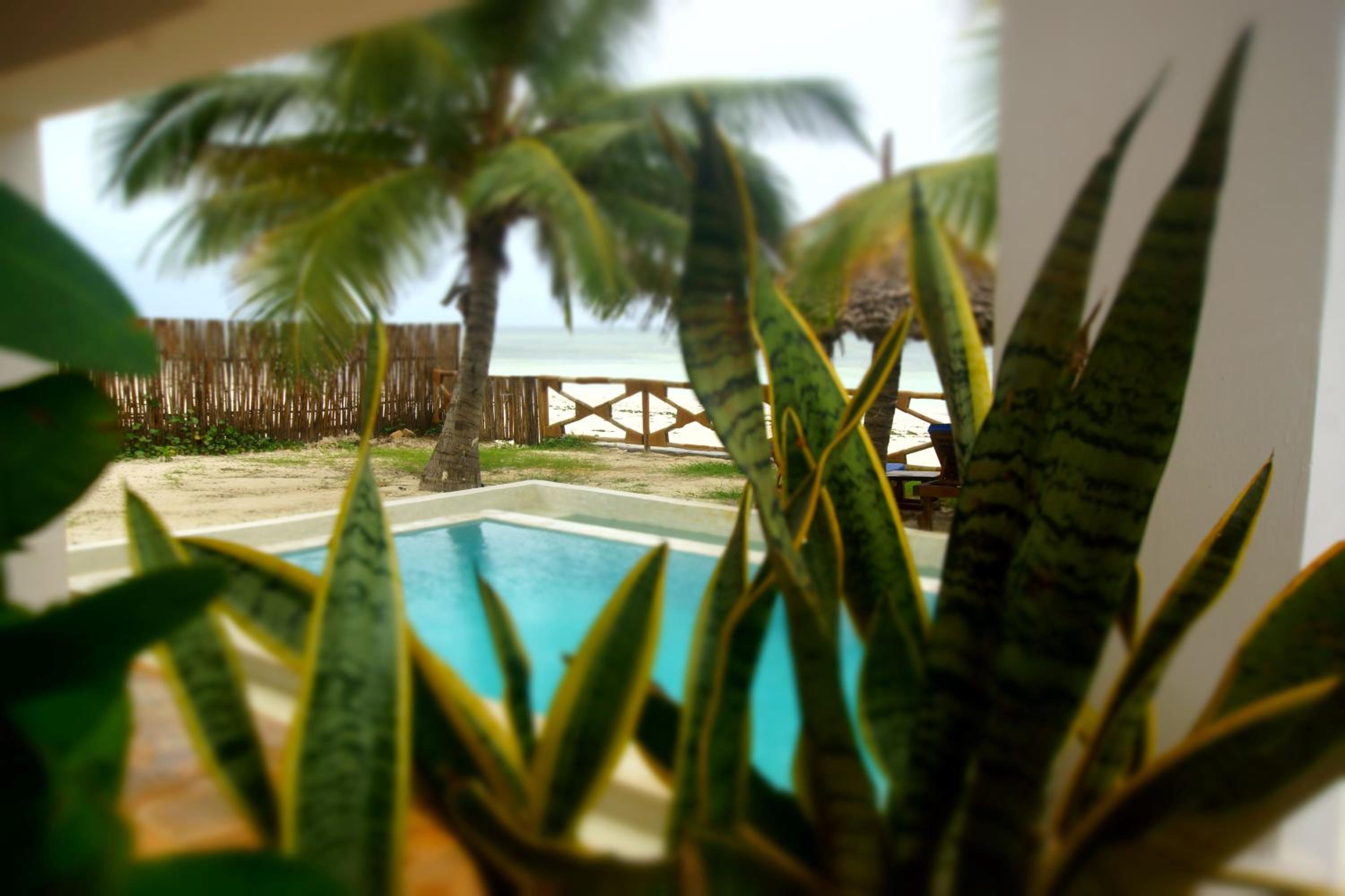 Amani Beach Villa- Bwejuu