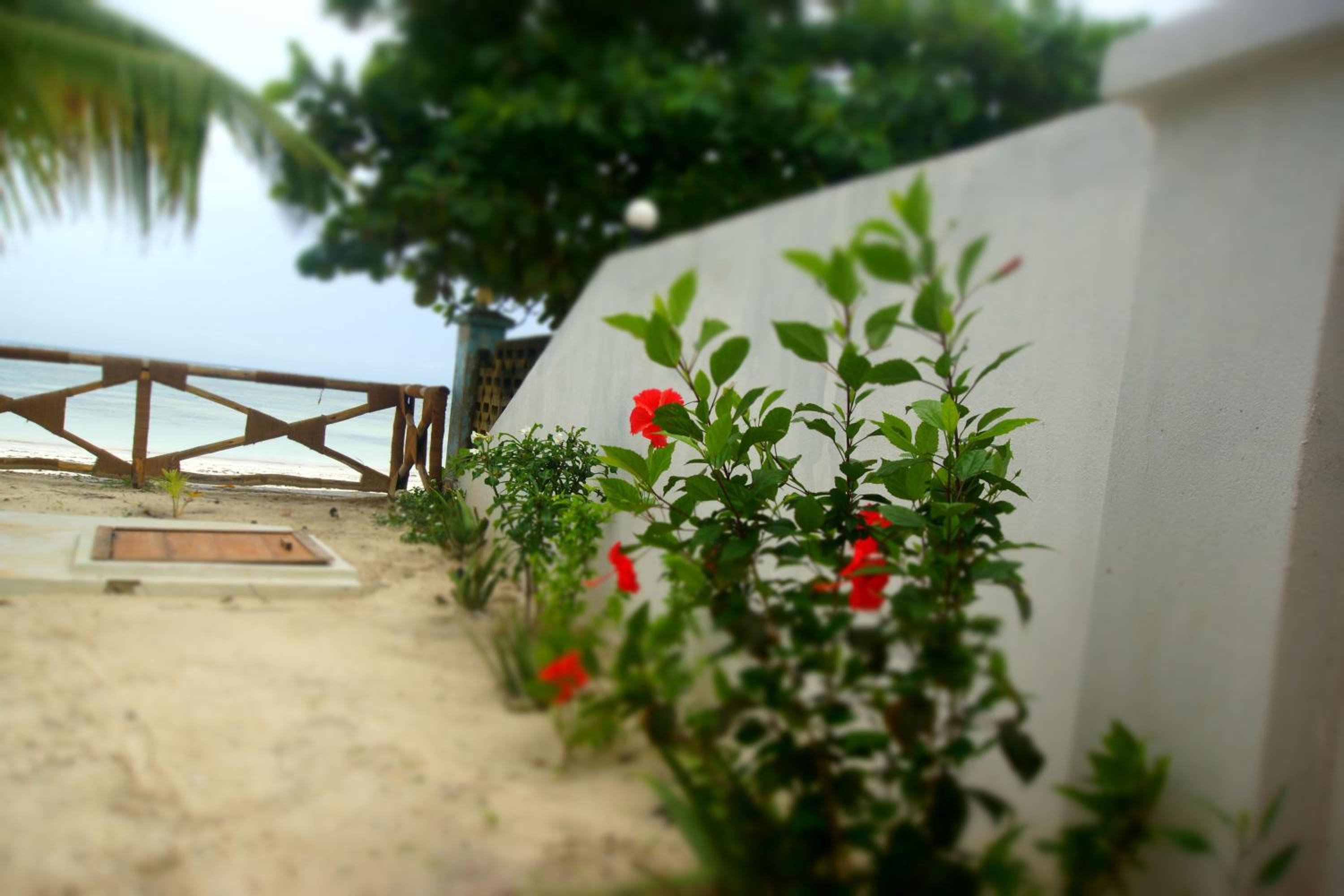 Amani Beach Villa- Bwejuu
