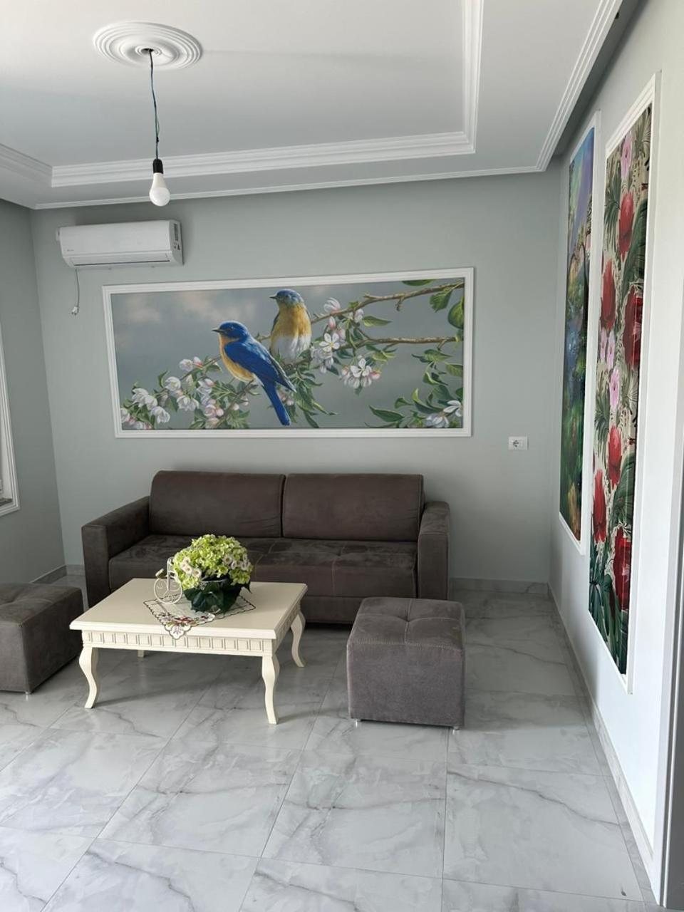 Guest Hours Kolaj