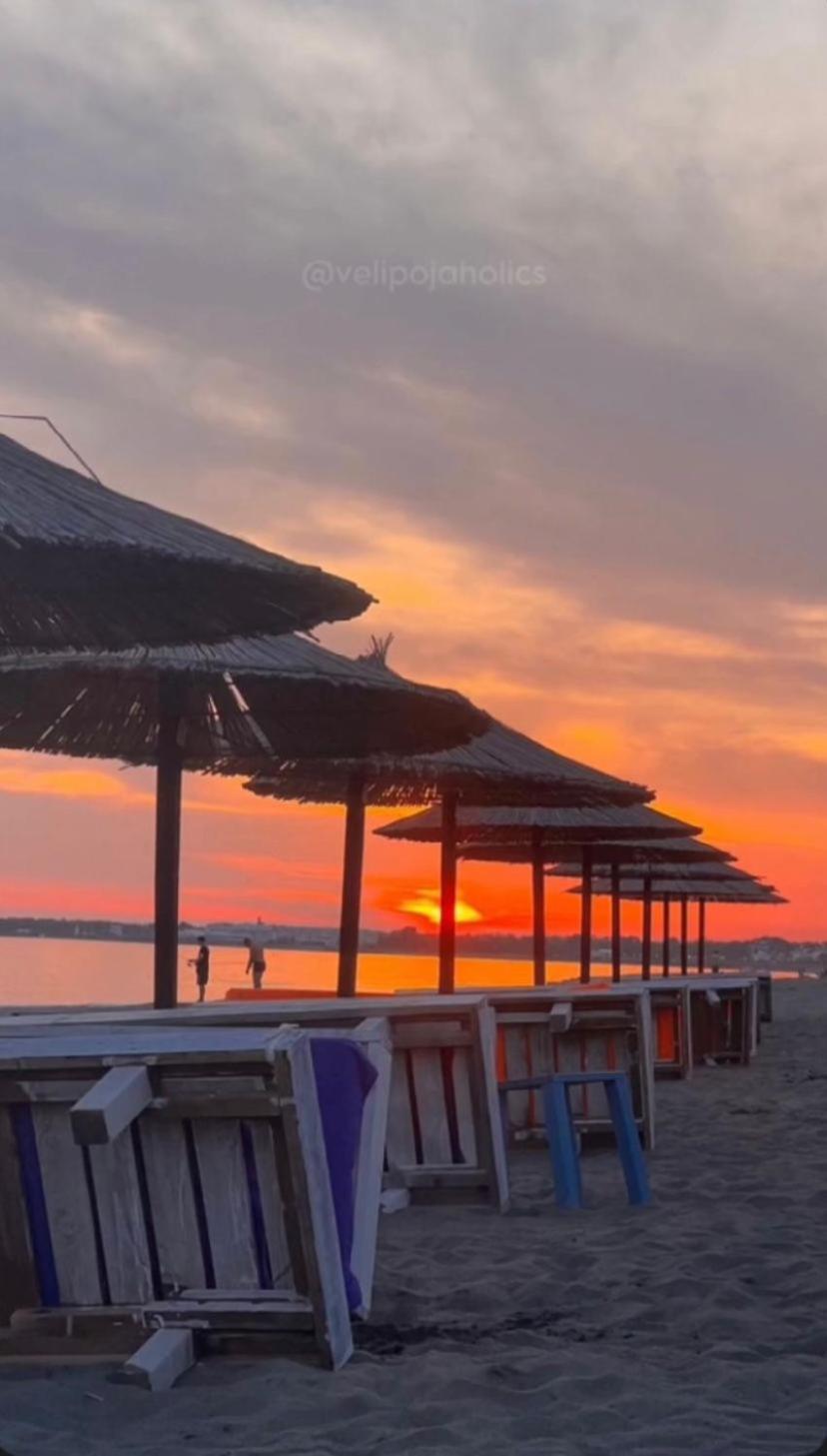 Guest Hours Kolaj photo 3