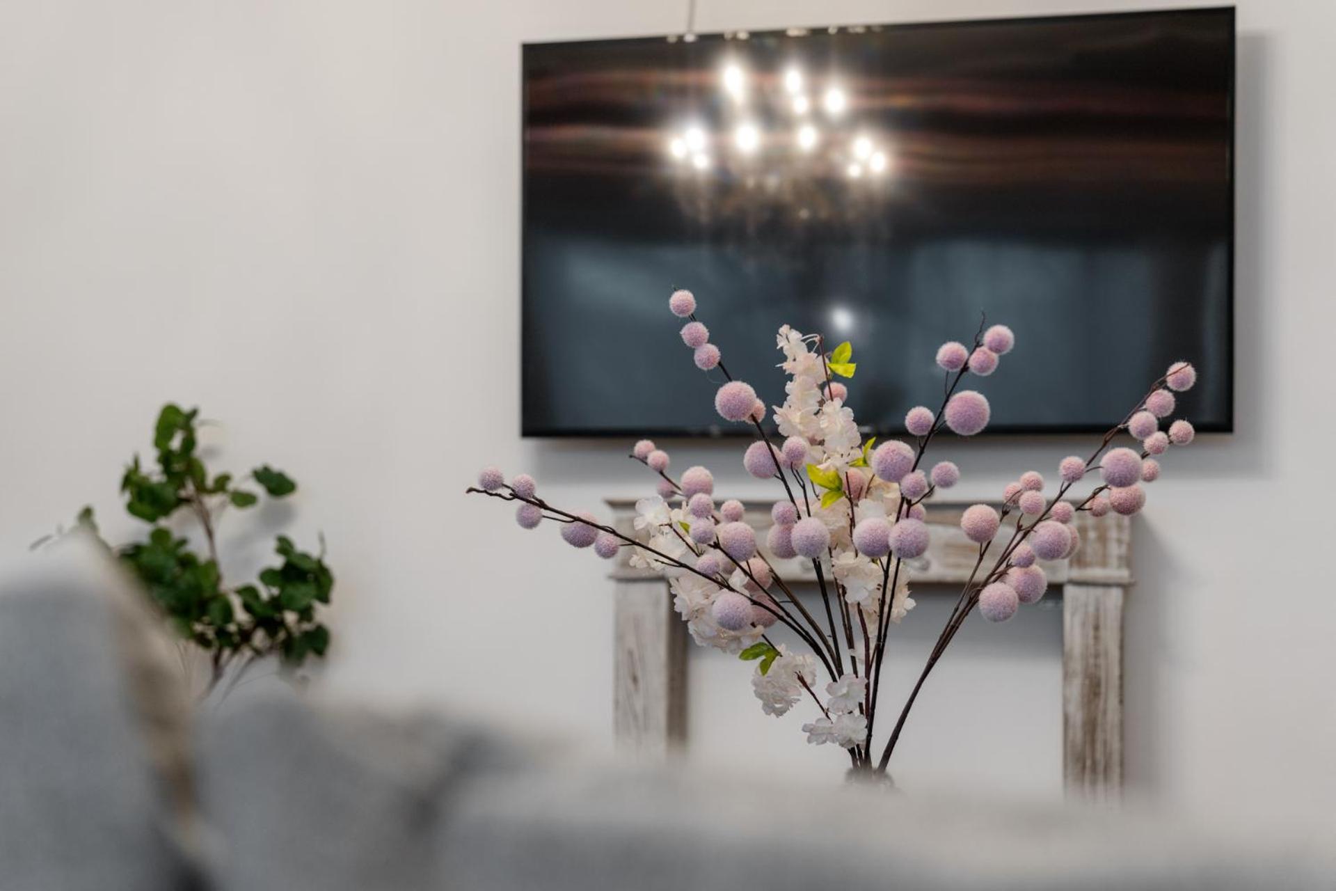 Großes Apartment in bester Lage nahe Wien