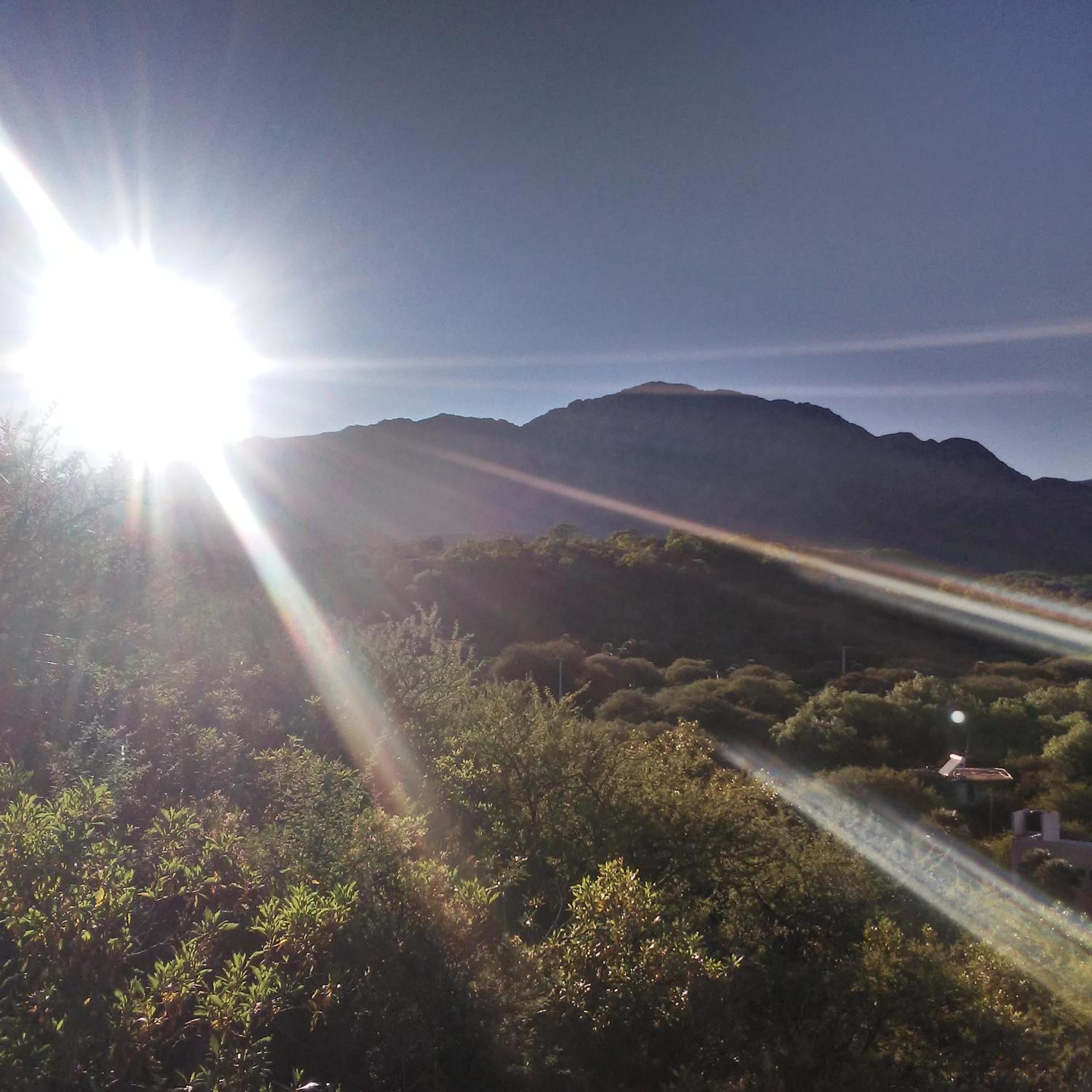 Palmares al cerro