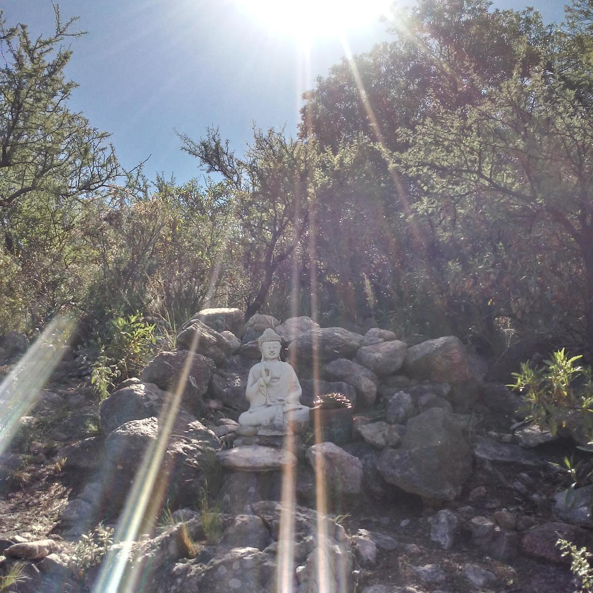 Palmares al cerro