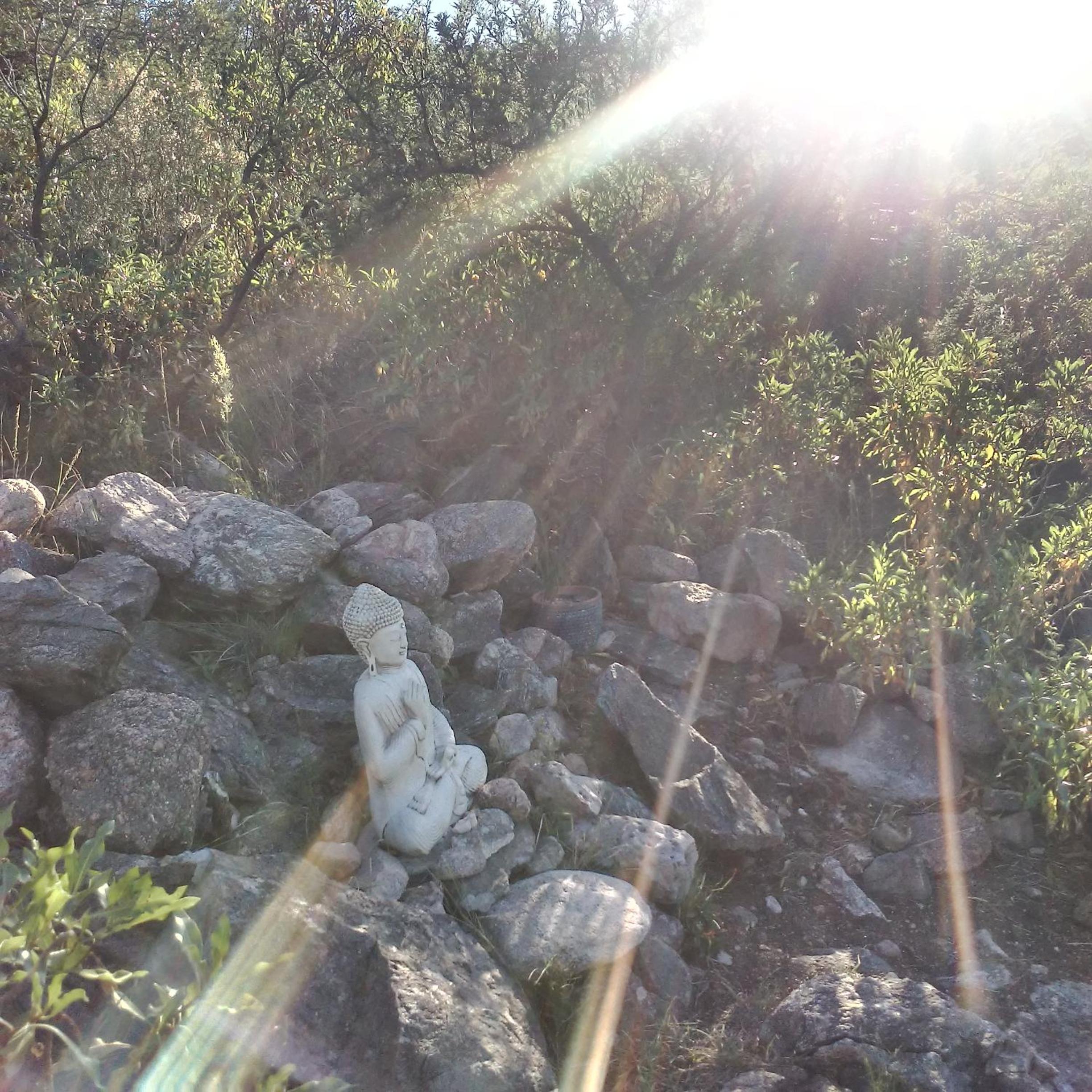 Palmares al cerro
