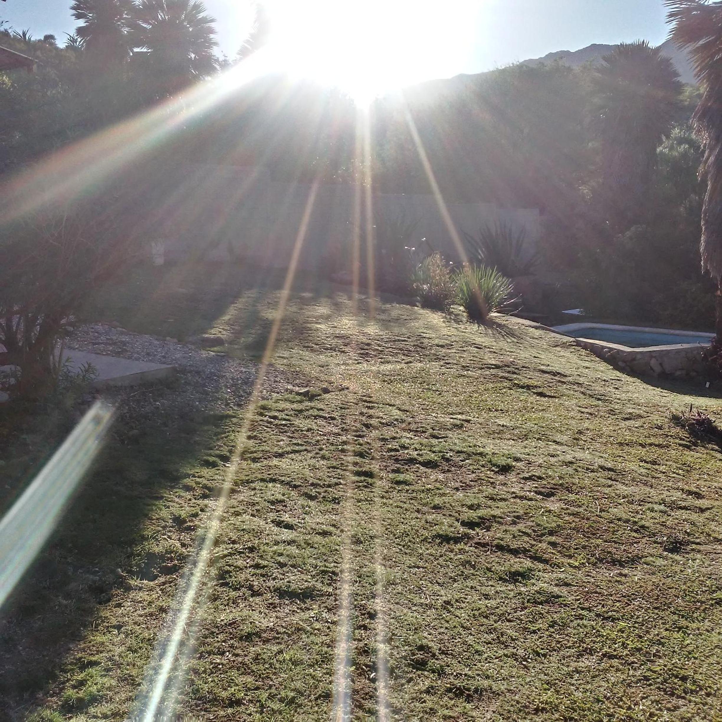 Palmares al cerro