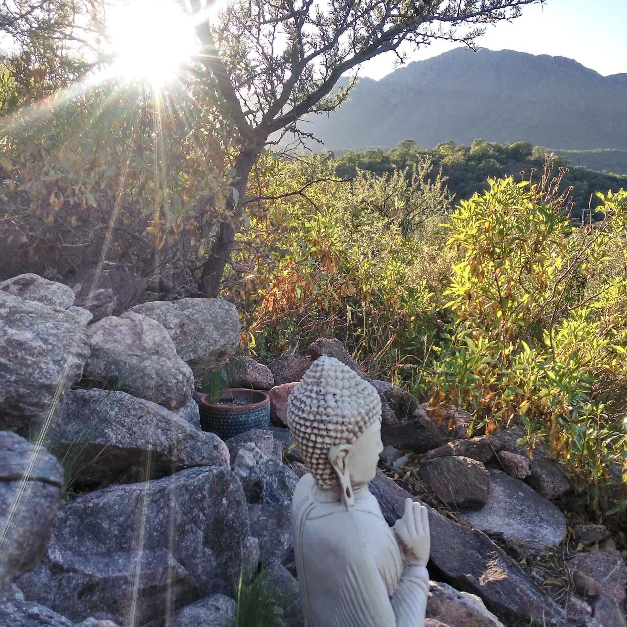 Palmares al cerro