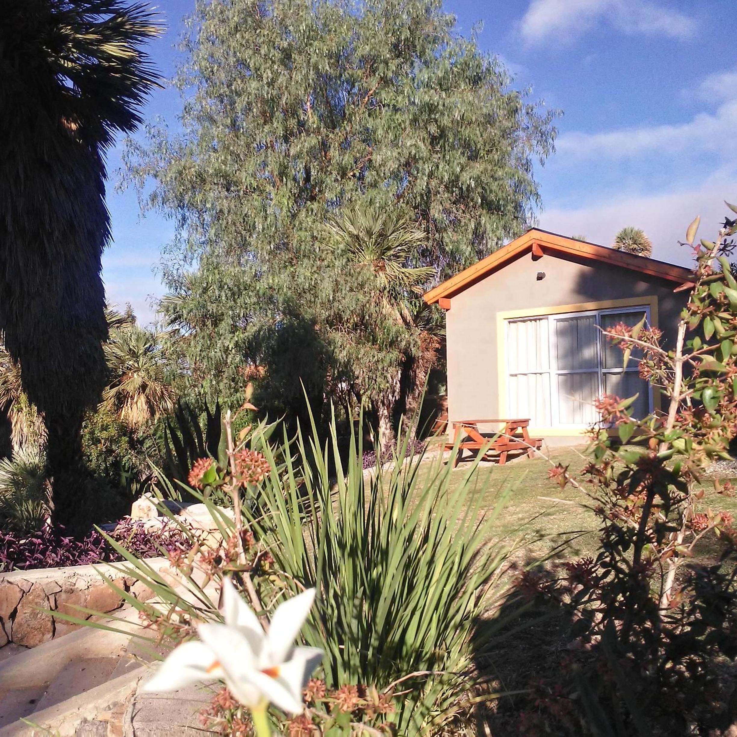 Palmares al cerro