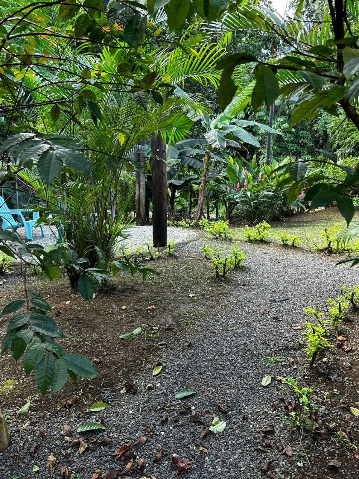 Casa Serena La Fortuna