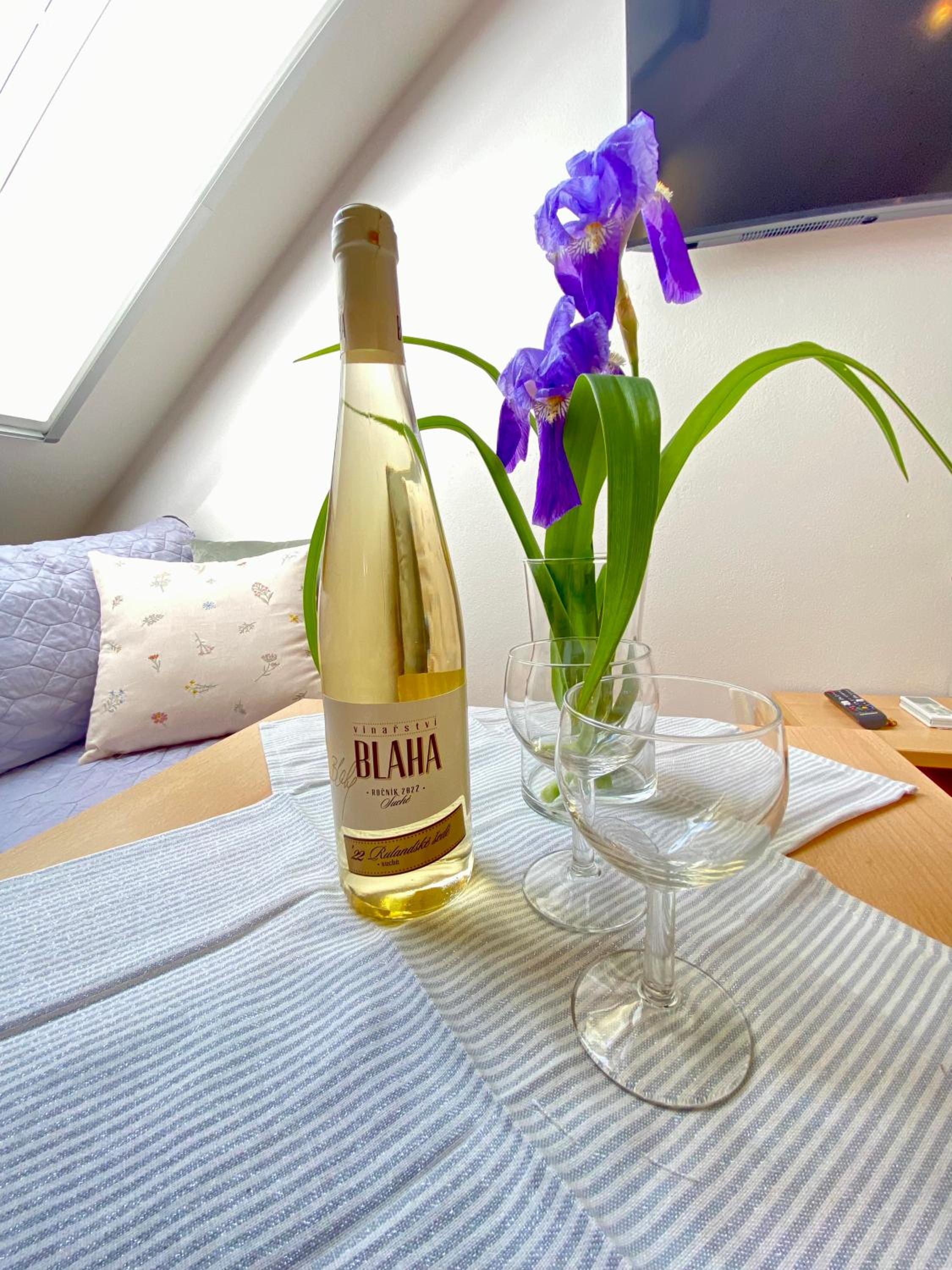 Apartmány Pálava Novosedly