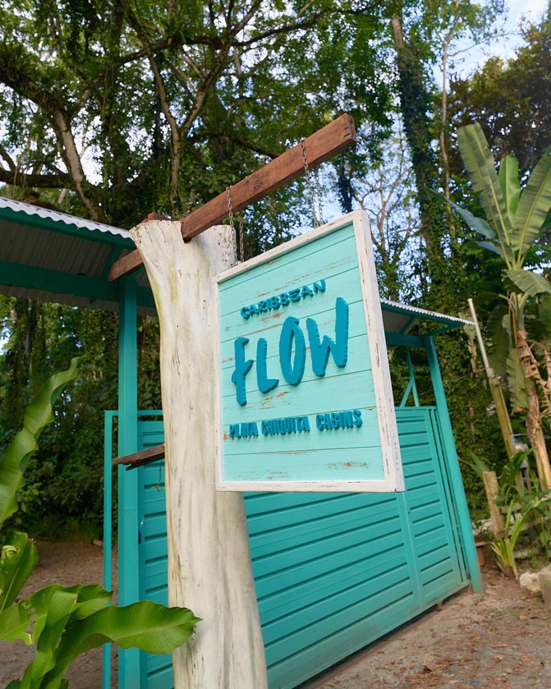 Caribbean Flow