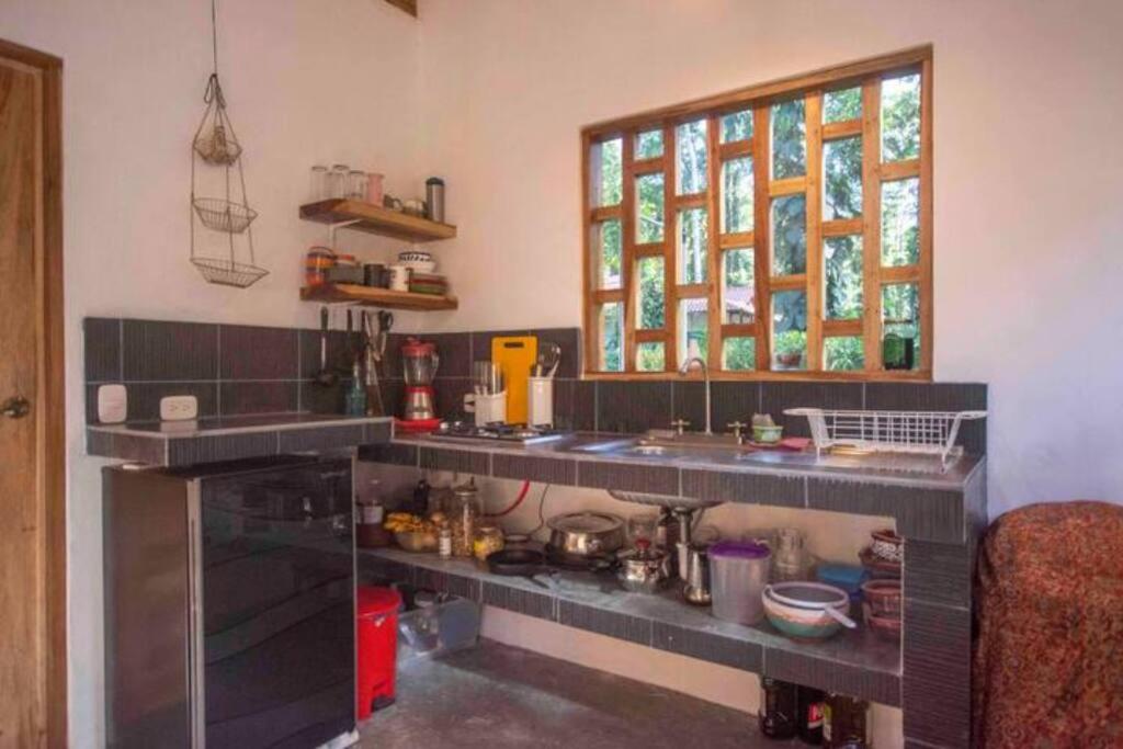Casa Raices