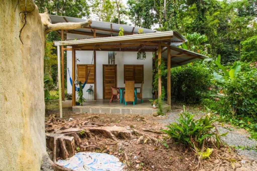 Casa Raices