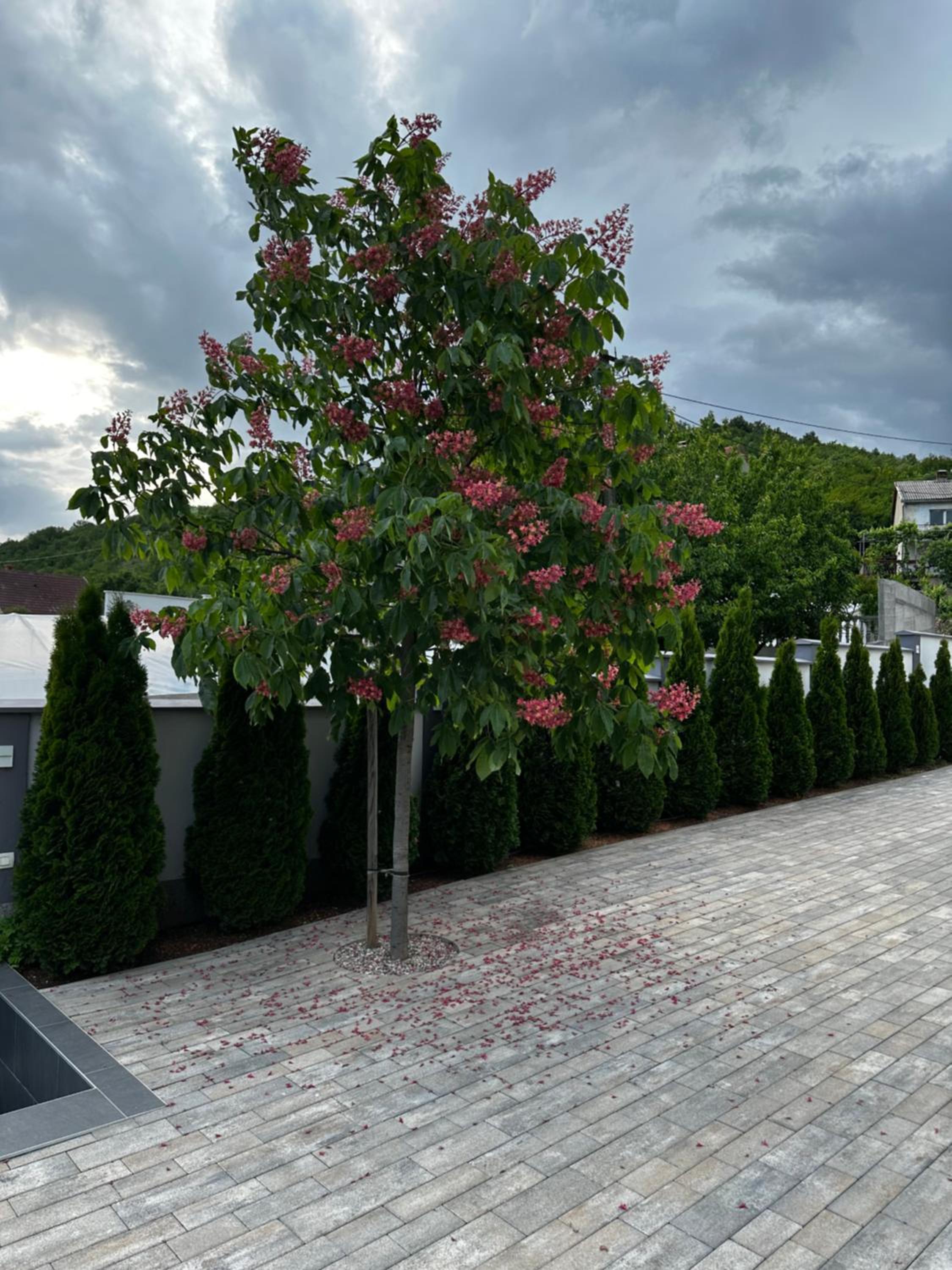 Luxury Villa Magic