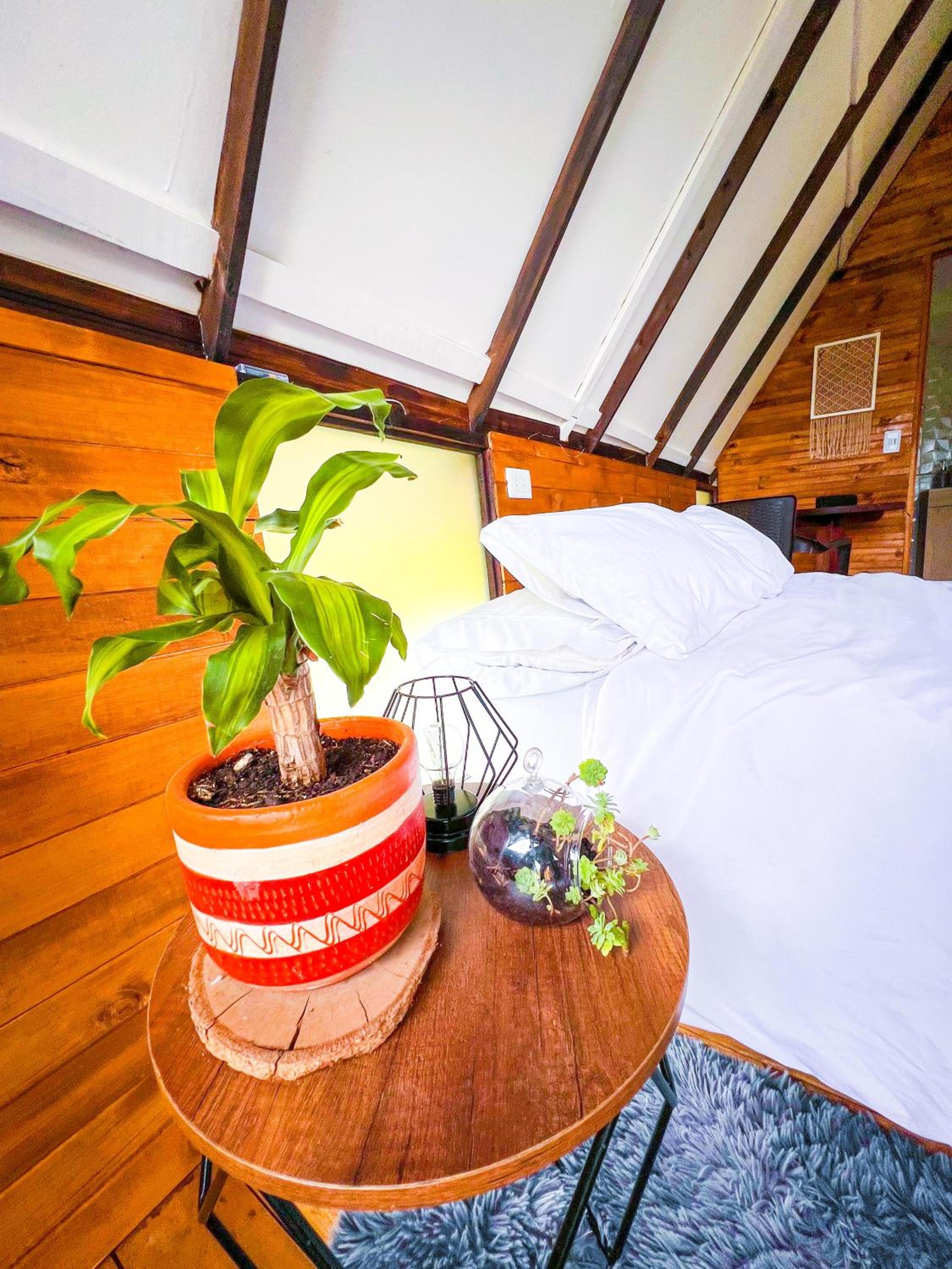 Glamping Chalet Deluxe cerca al centro de Villa de Leyva - By Serena Morena