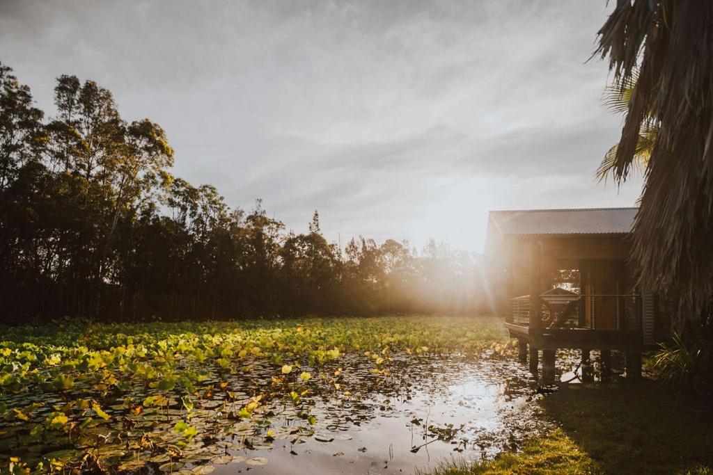 Leaves & Fishes - Private group escape in the Hunter Valley