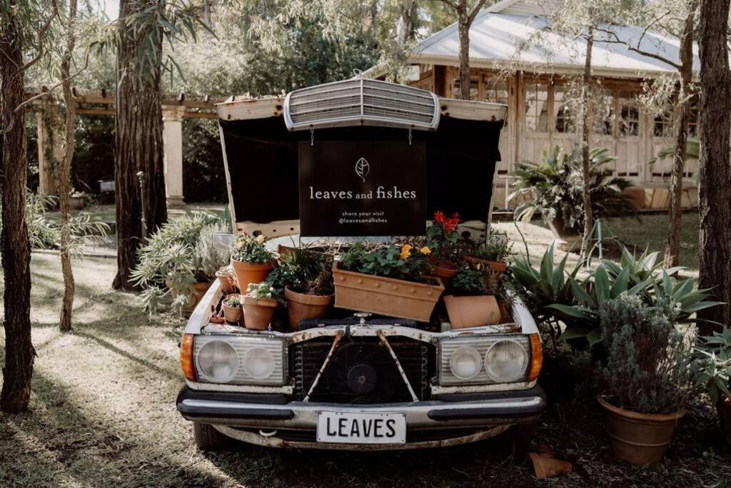 Leaves & Fishes - Private group escape in the Hunter Valley