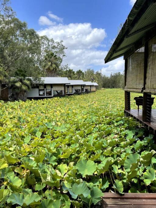 Leaves & Fishes - Private group escape in the Hunter Valley