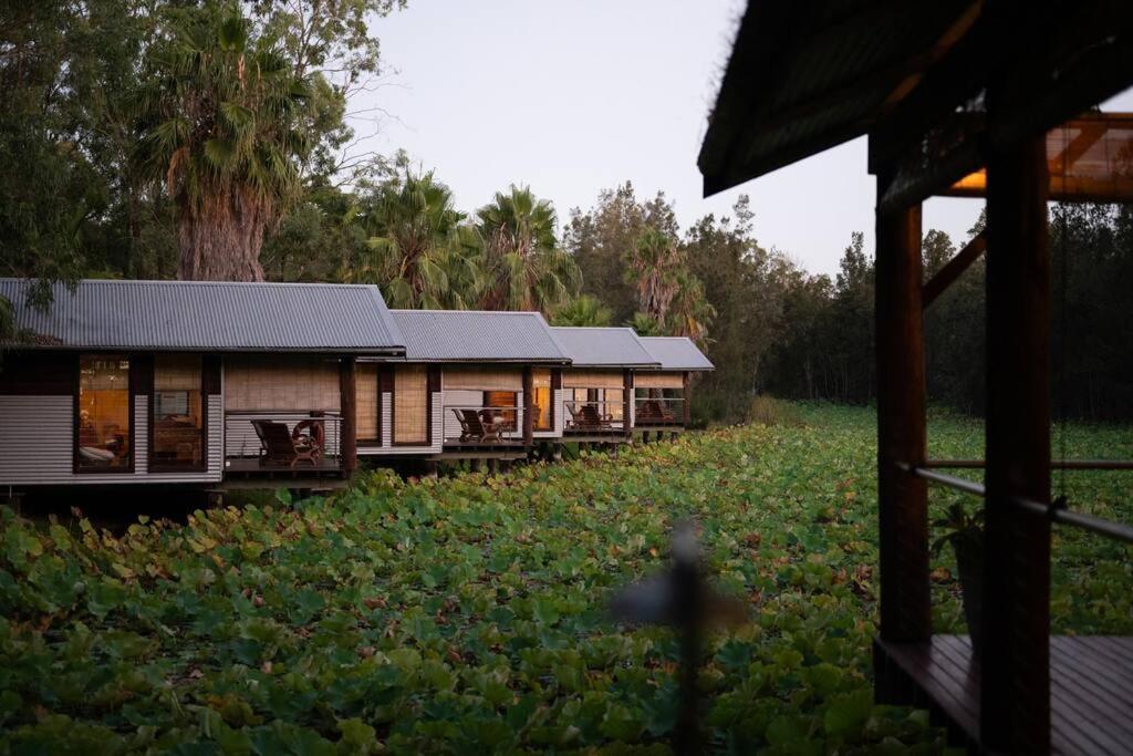 Leaves & Fishes - Private group escape in the Hunter Valley