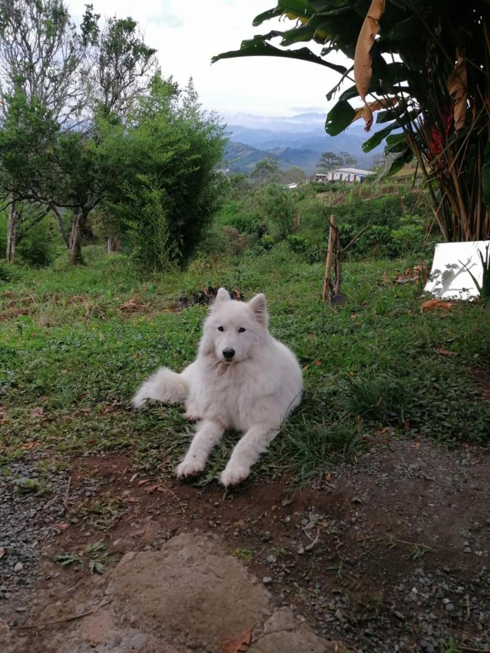 Glamping Orosierra