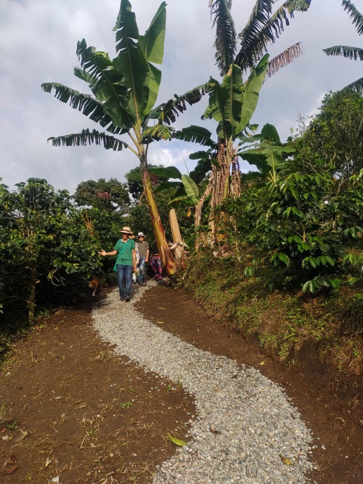 Glamping Orosierra