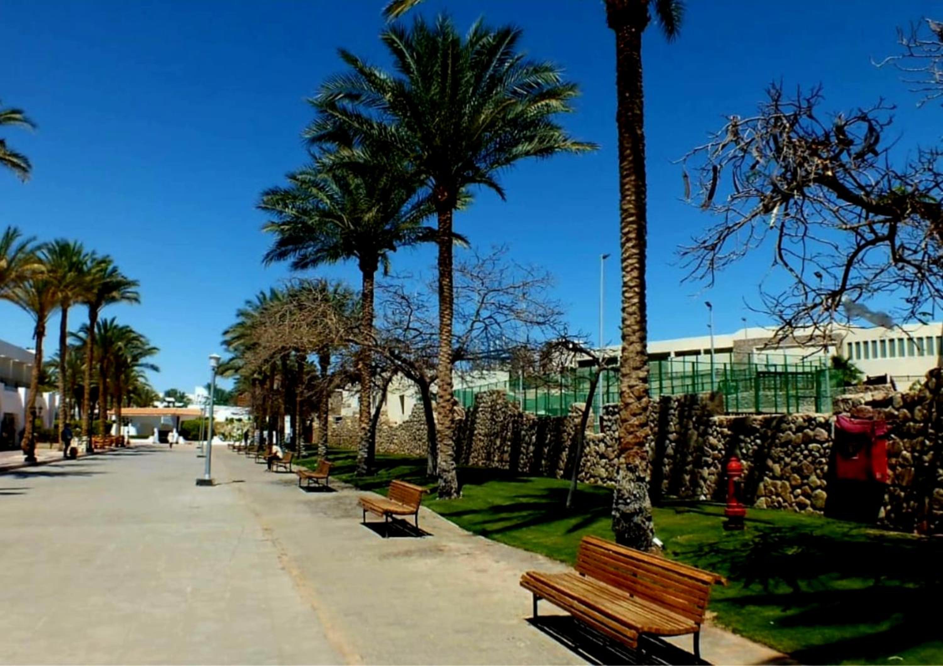 Sharm Hills Resort