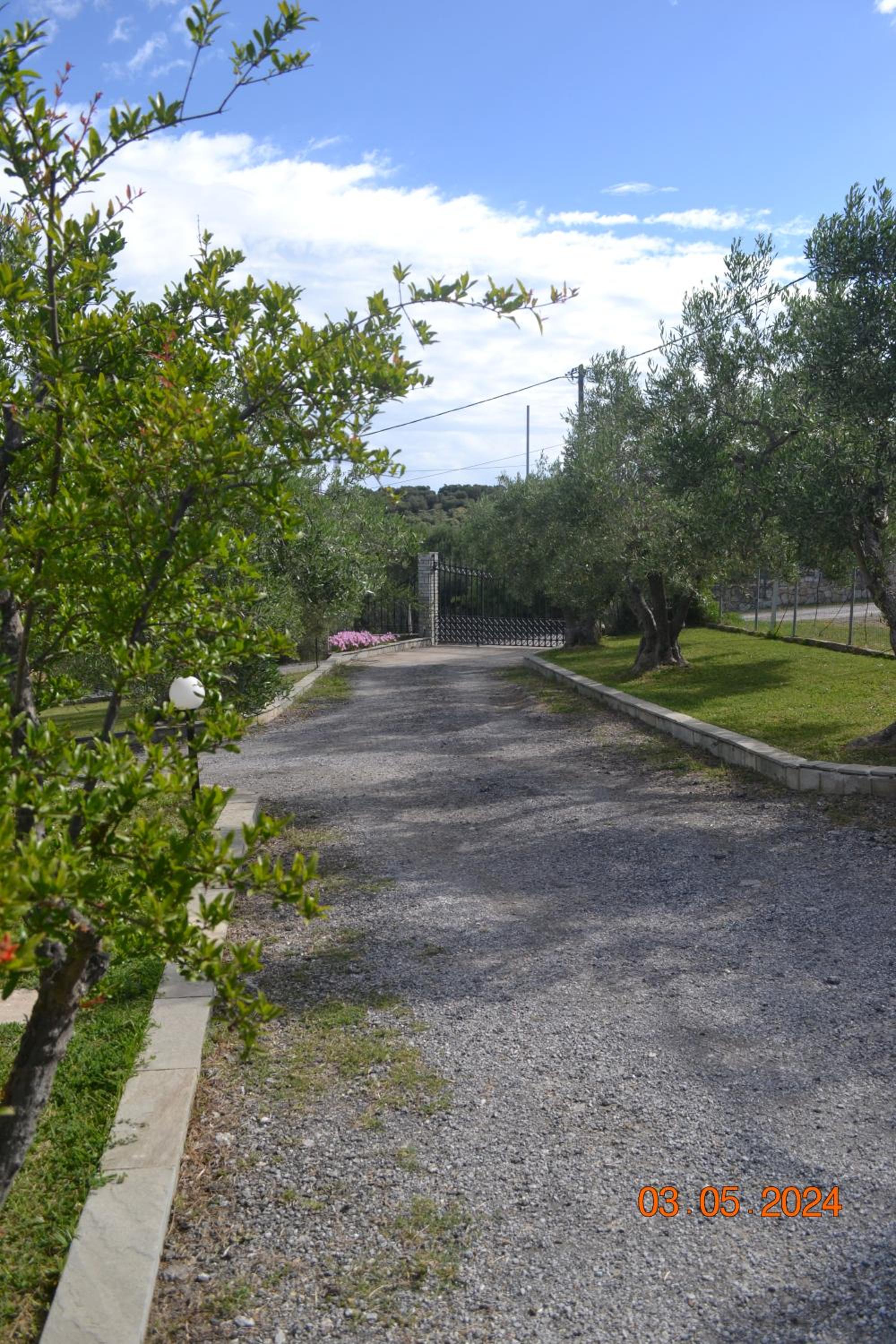 Photo 30