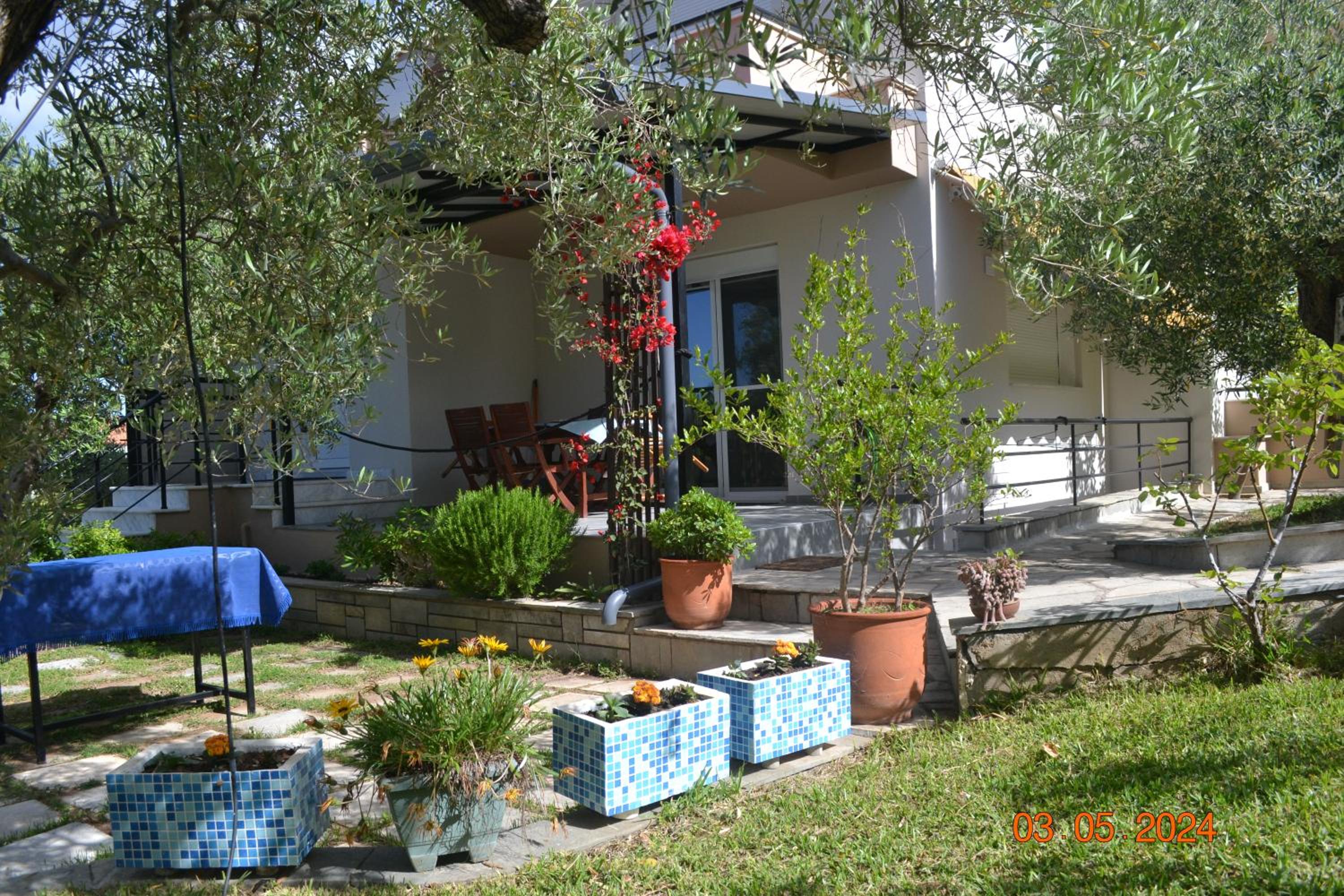 Photo 24