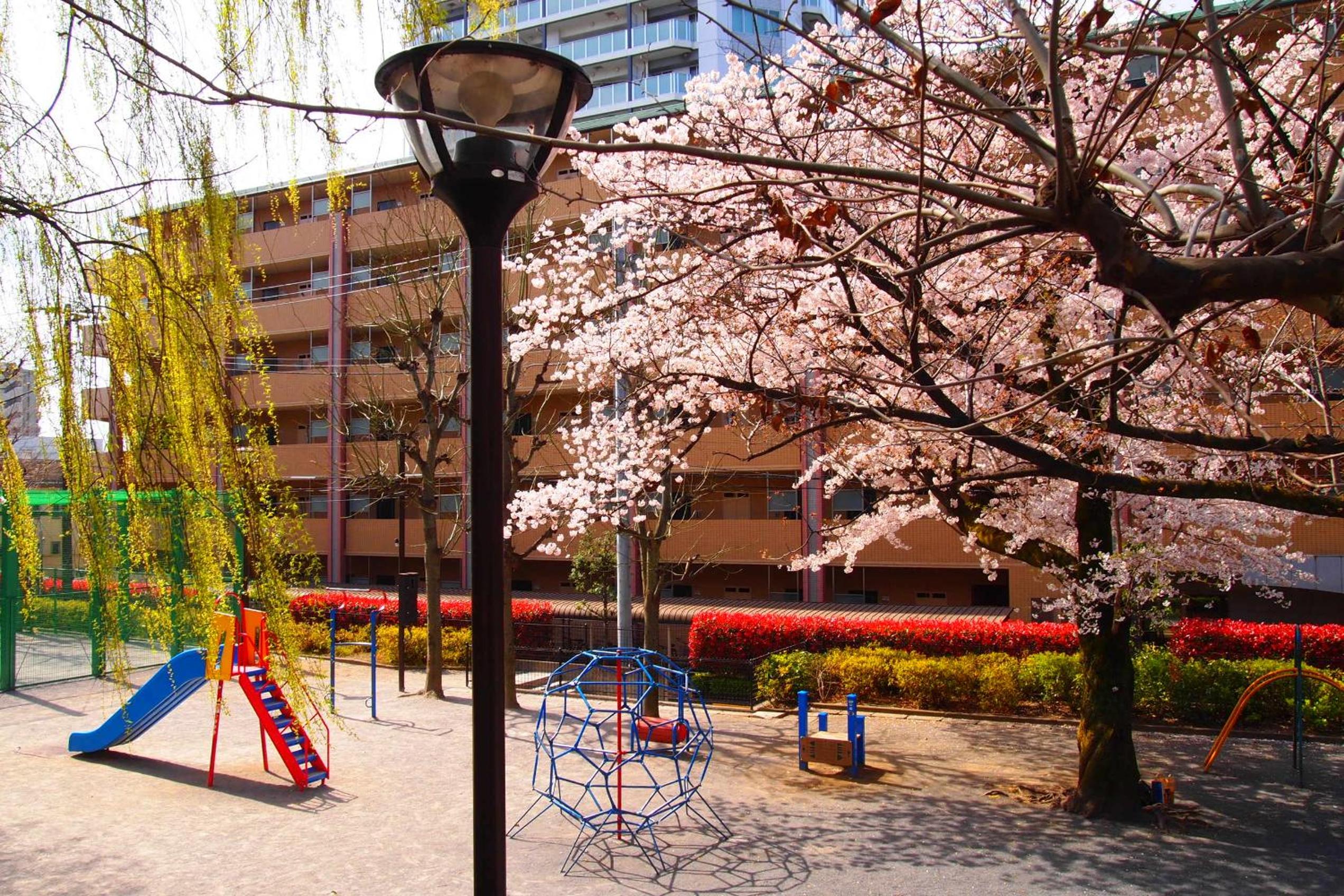 The Bonsai Otsuka 202, Fresh Parkside Private Apartment in Central Tokyo