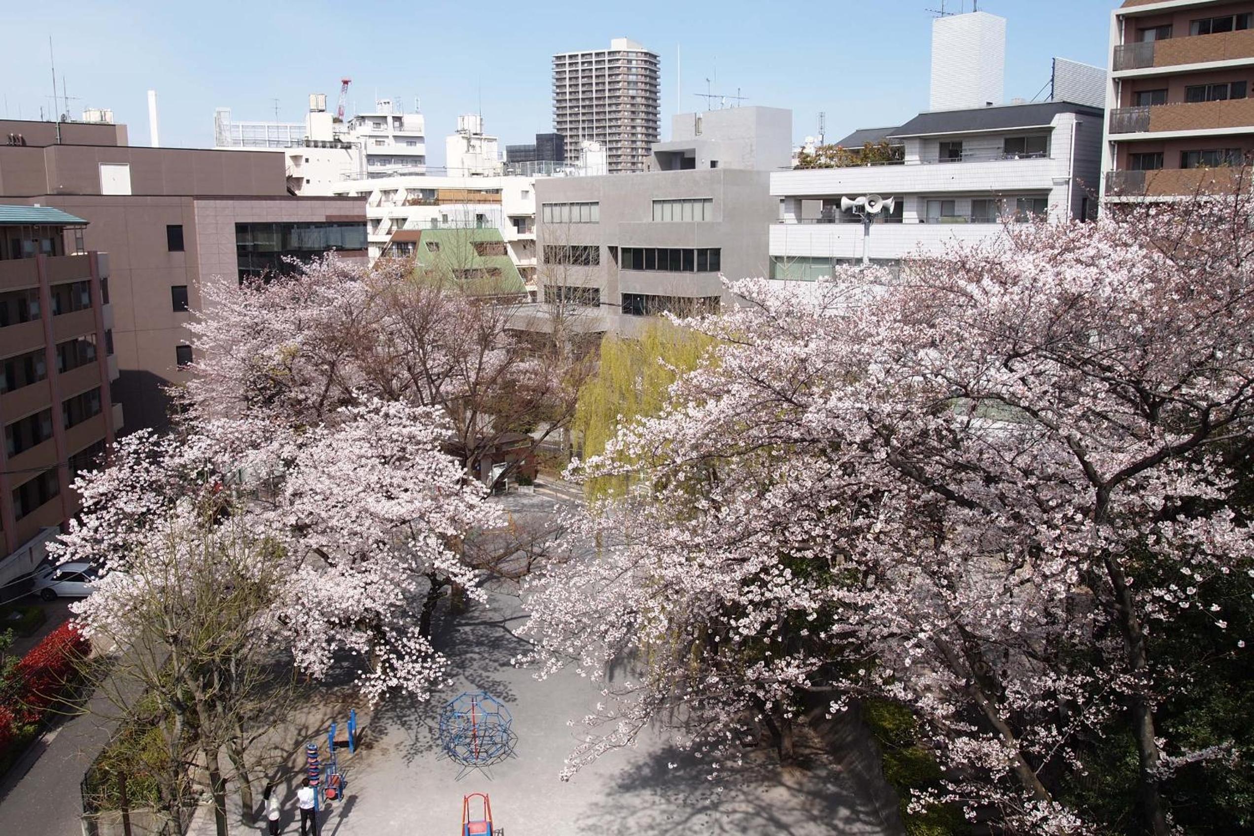 The Bonsai Otsuka 202, Fresh Parkside Private Apartment in Central Tokyo
