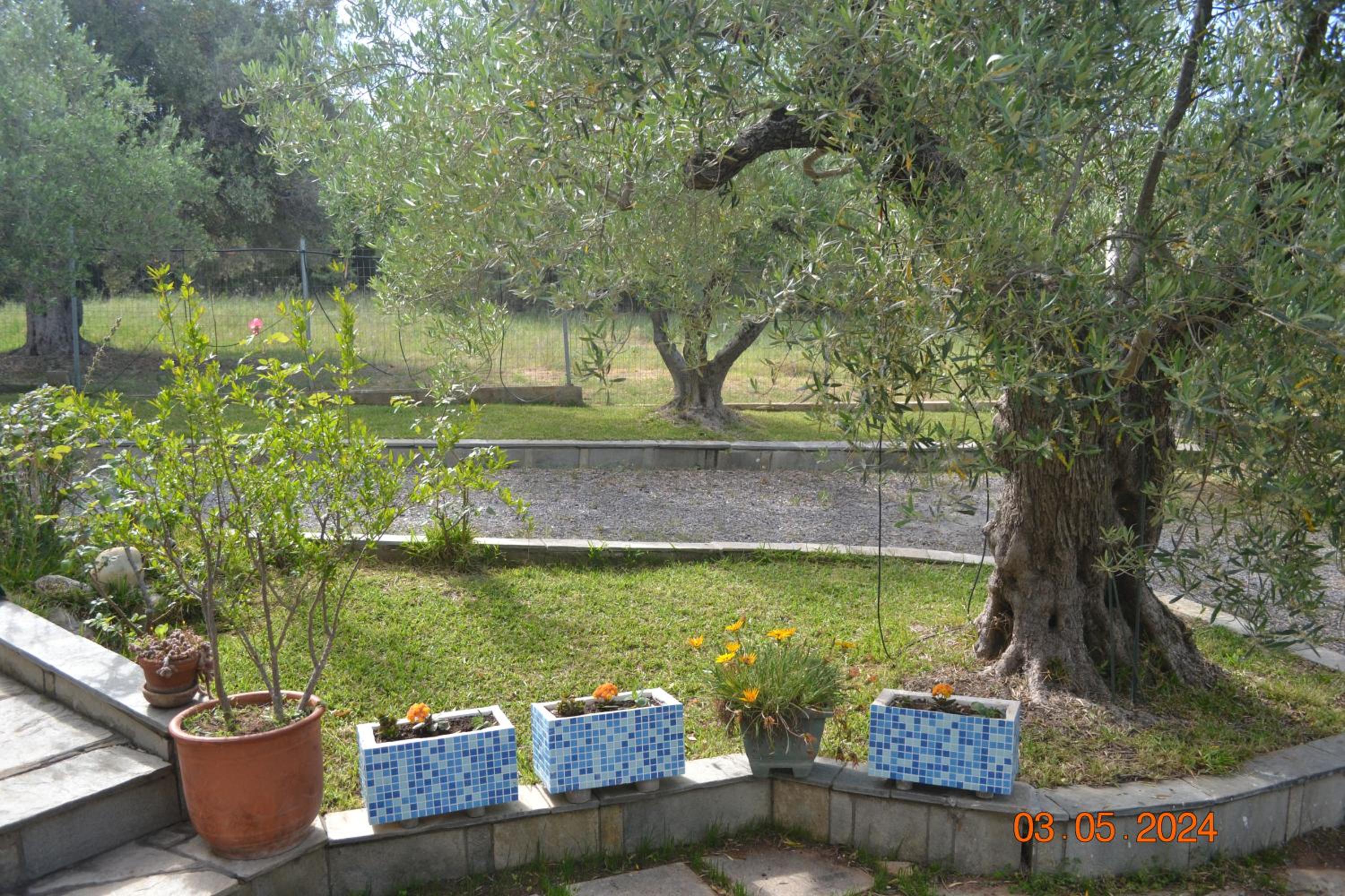 Photo 31