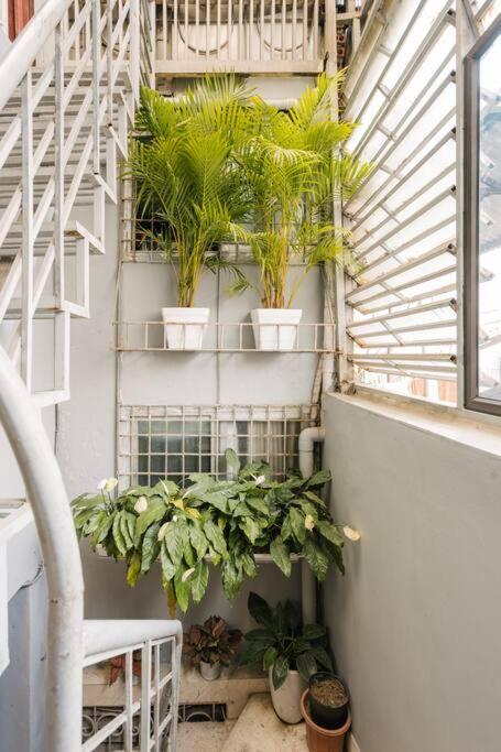 Mintea Homestay