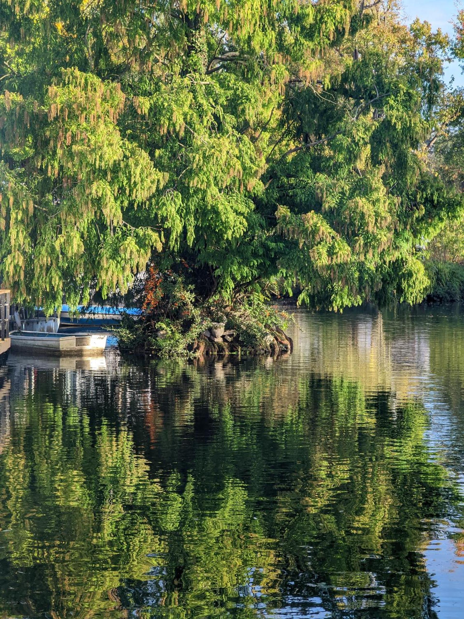 Tulana Taggs - floating home on idyllic island view 3