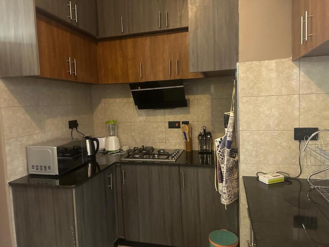 Luxurious Apartments (Free Wifi Dstv & Long Stay Discounts) view 4