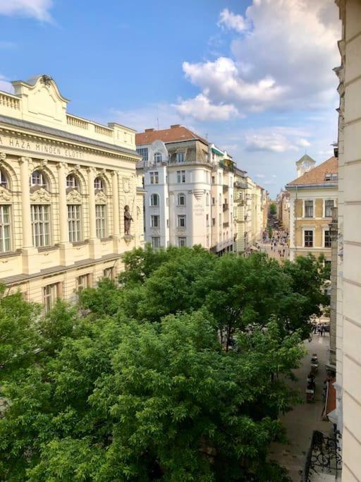 Central City & Danube View view 2
