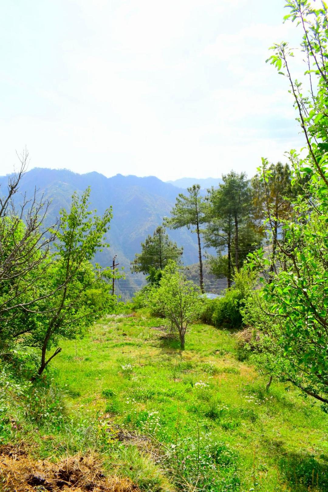 Photo 25