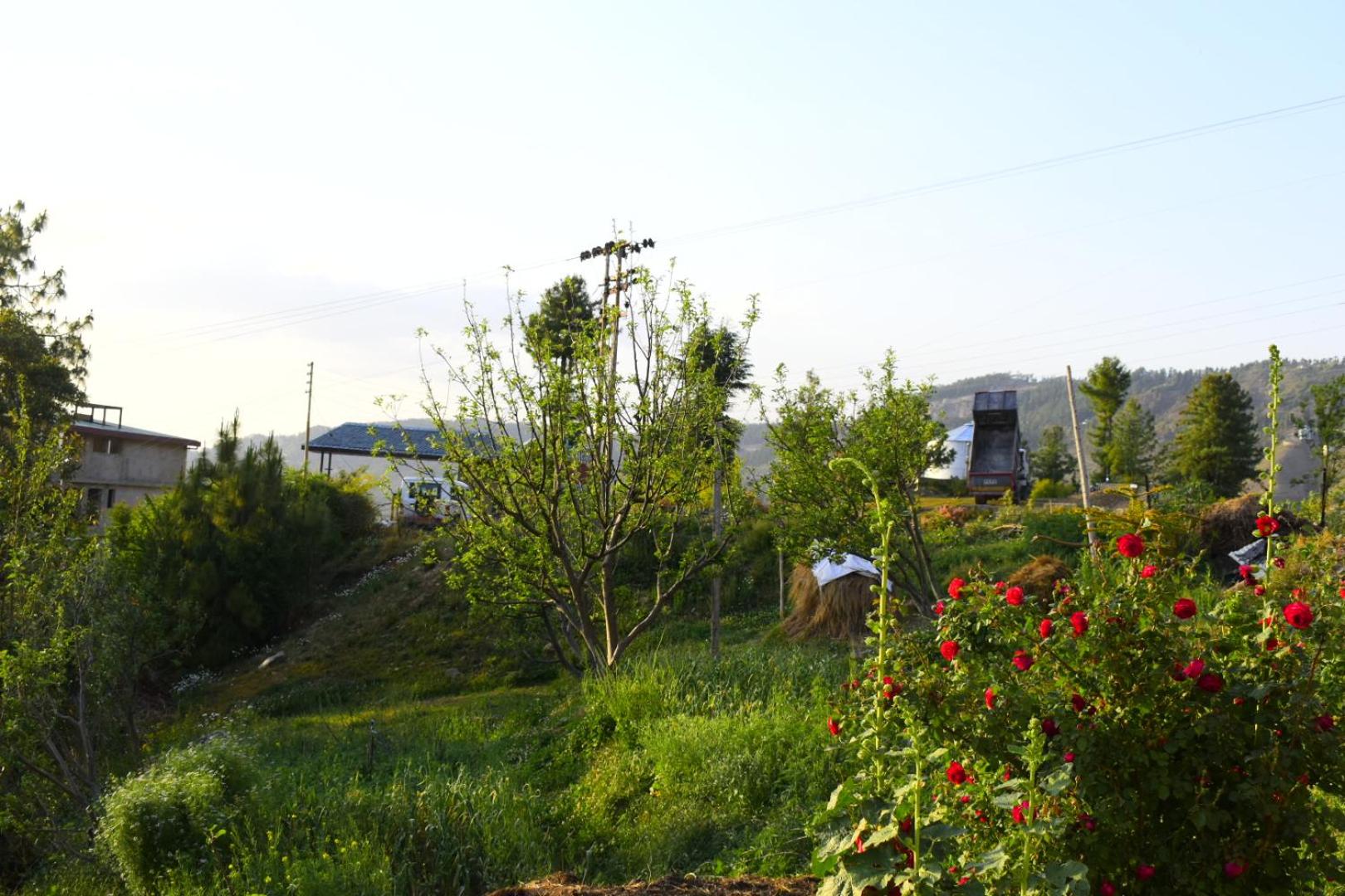 Photo 31