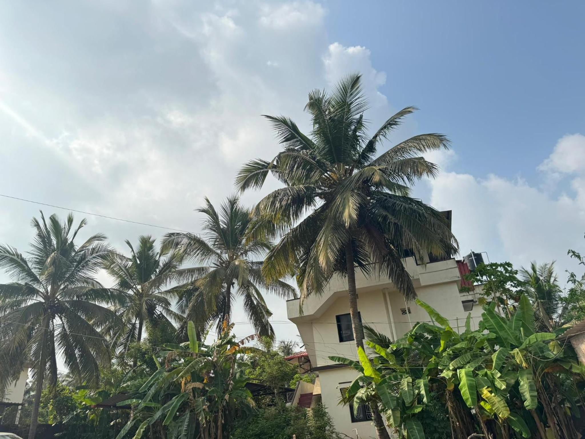 KENSON HOMESTAY
