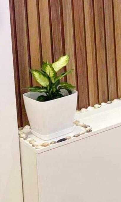 Apartament Syri Kalter