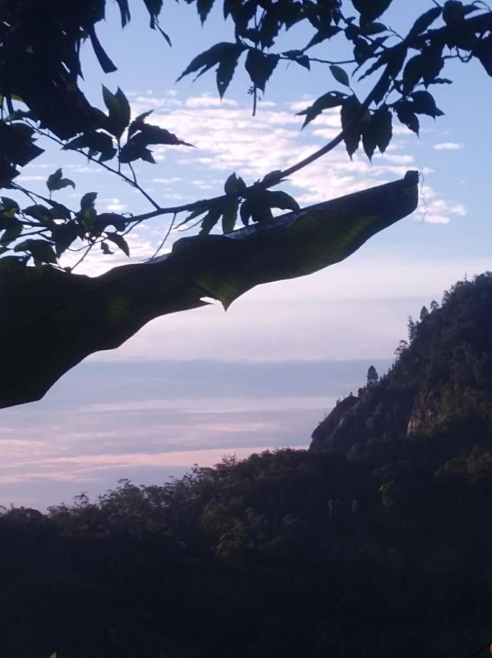 Himansa Homestay